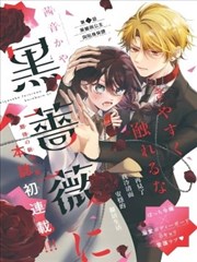 中原纪事海报